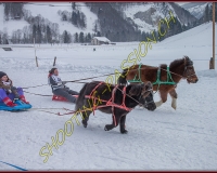 2CHARMEY- 0045